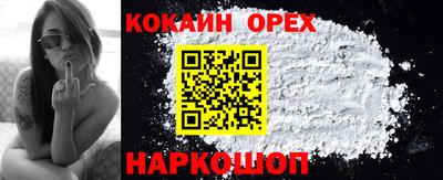 индика Будённовск