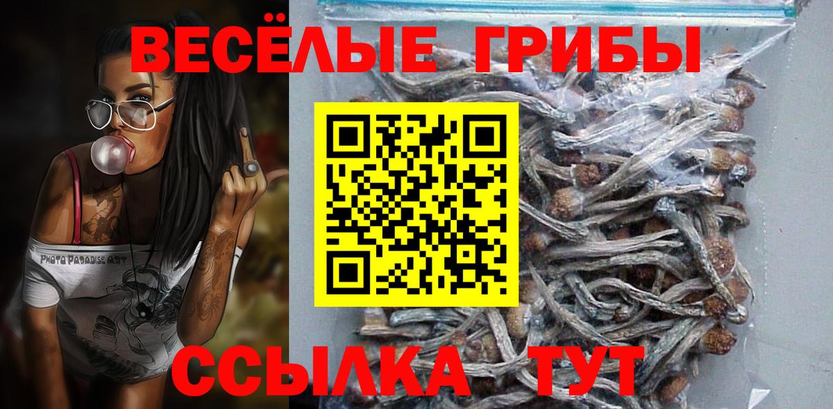 Галлюциногенные грибы мицелий Серпухов
