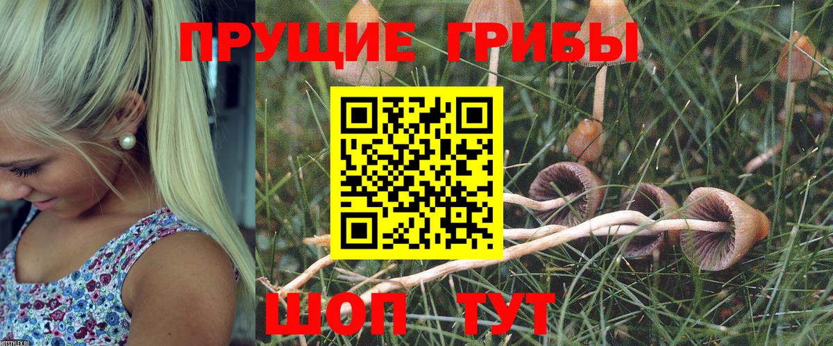 Псилоцибиновые грибы GOLDEN TEACHER  Вход с VPN  Серпухов  Псилоцибиновые грибы мухоморы 